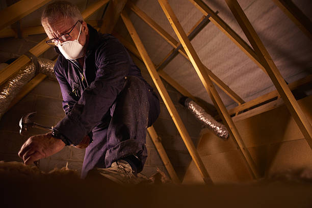 Best Residential Insulation in Calvert City, KY